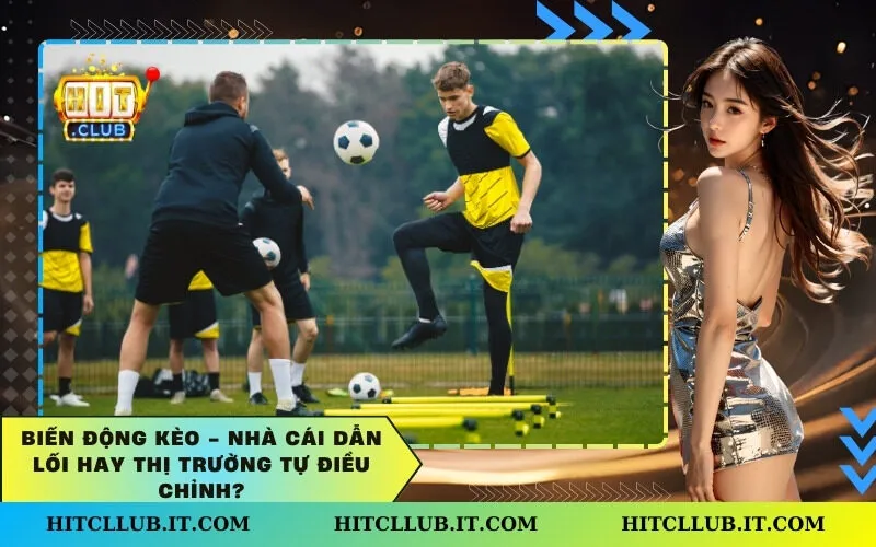 Biến Động Kèo - Nhà Cái Dẫn Lối Hay Thị Trường Tự Điều Chỉnh?