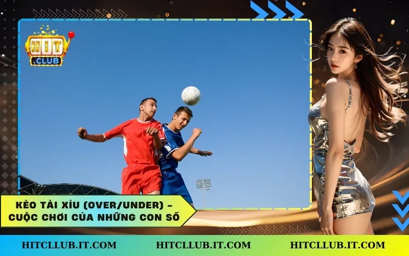 Kèo Tài Xỉu (Over/Under) - Cuộc Chơi Của Những Con Số